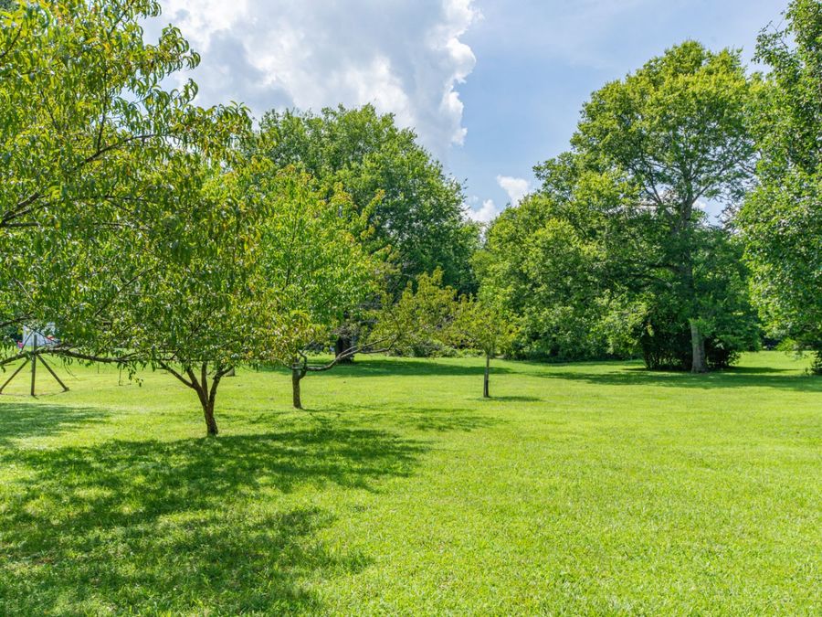 Property Image 55
