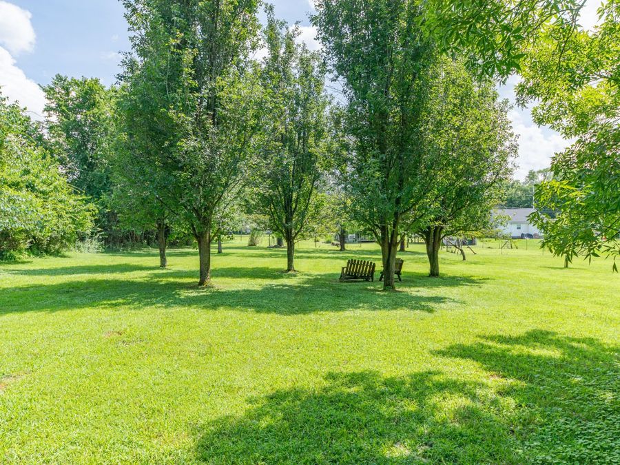 Property Image 56