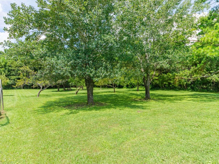Property Image 59