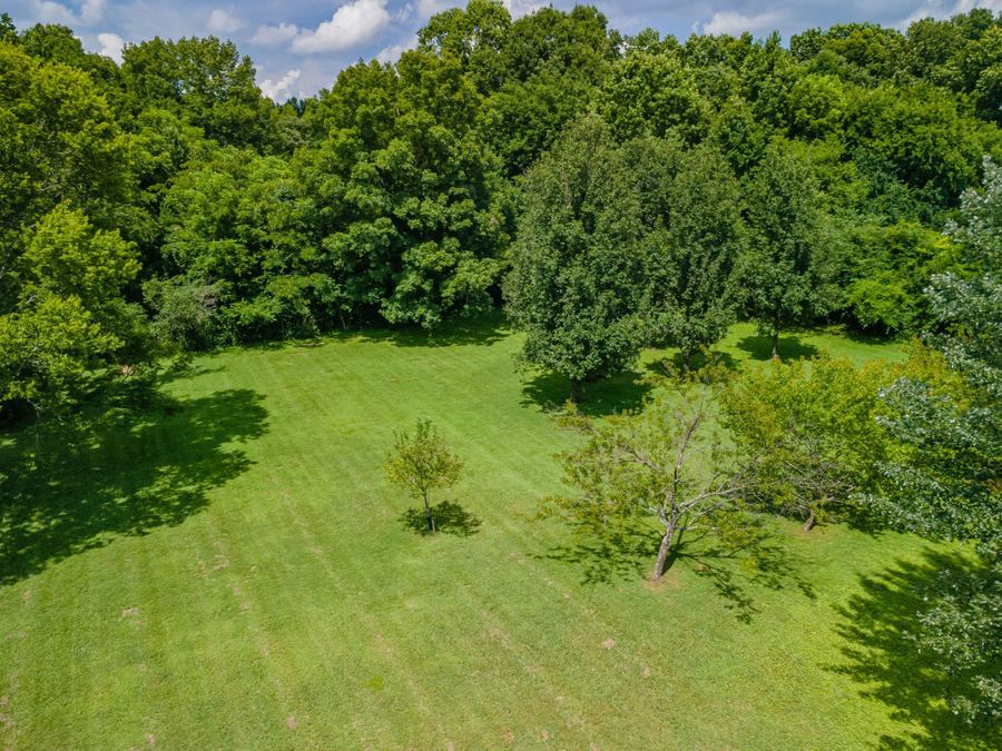 Property Image 60