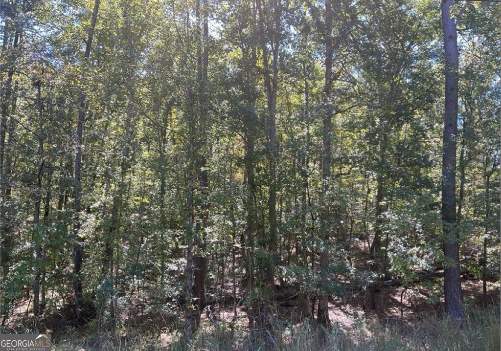 Lot 160 Amaryllis Dr, Sparta, GA 31087 Main Photo