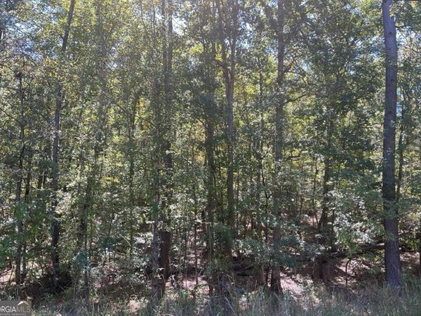 LOT 160 Amaryllis Dr, Sparta, GA 31087