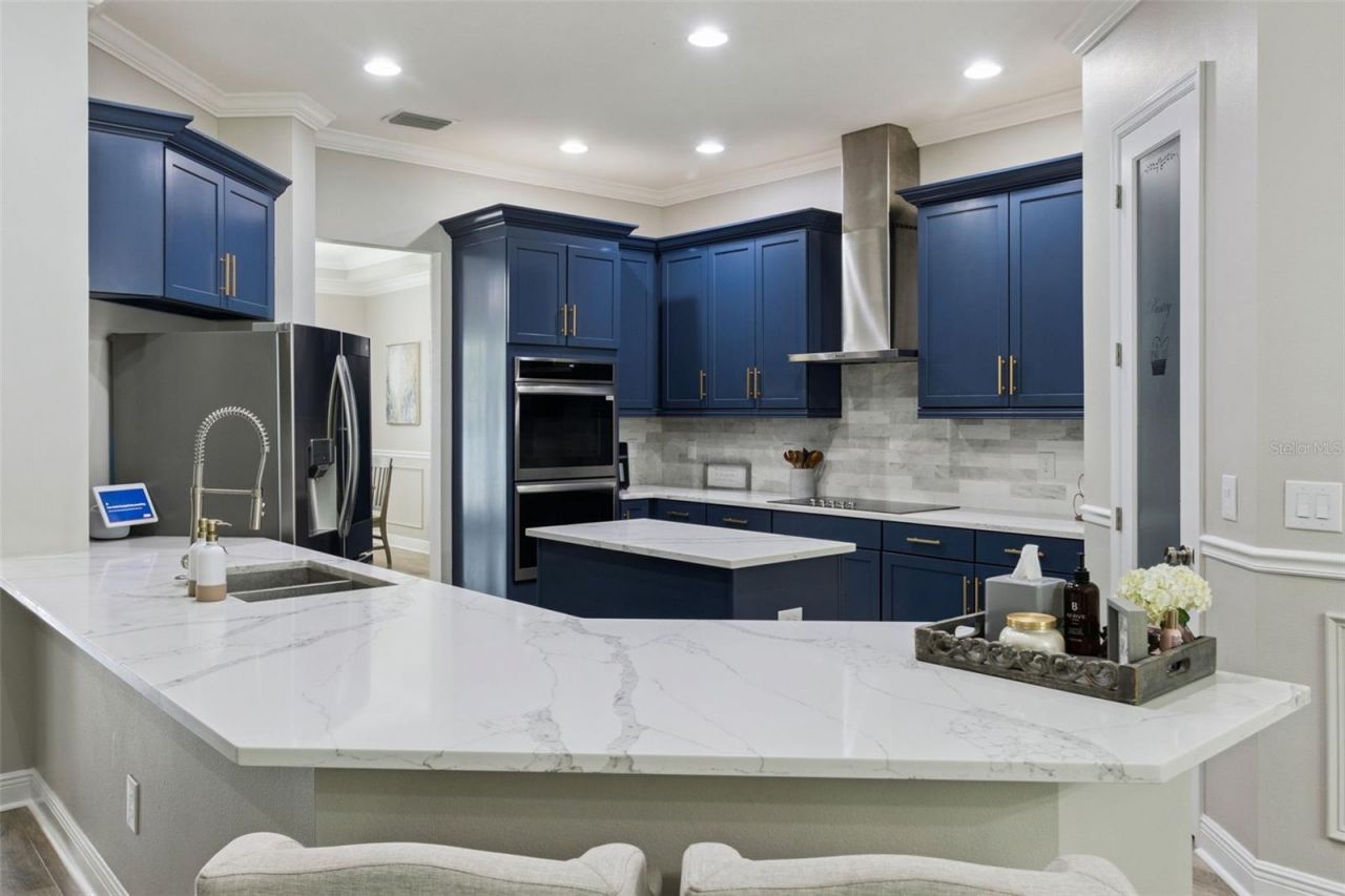 27722 Indigo Pond Court, Wesley Chapel, FL 33544 Photo