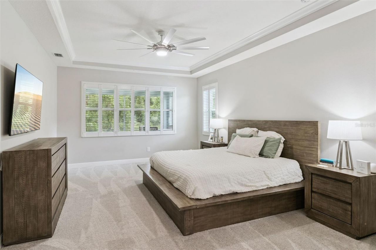 27722 Indigo Pond Court, Wesley Chapel, FL 33544 Photo