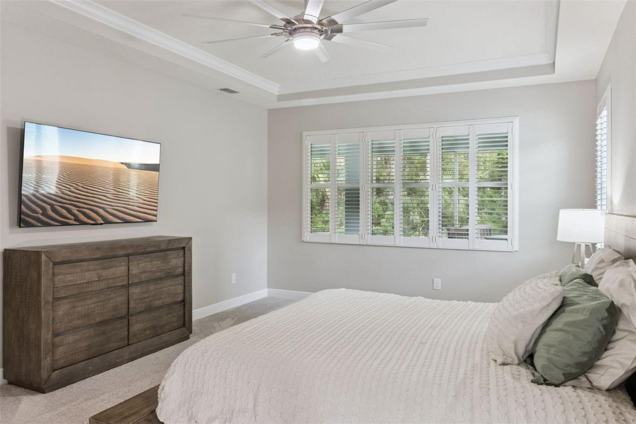 27722 Indigo Pond Court, Wesley Chapel, FL 33544 Photo