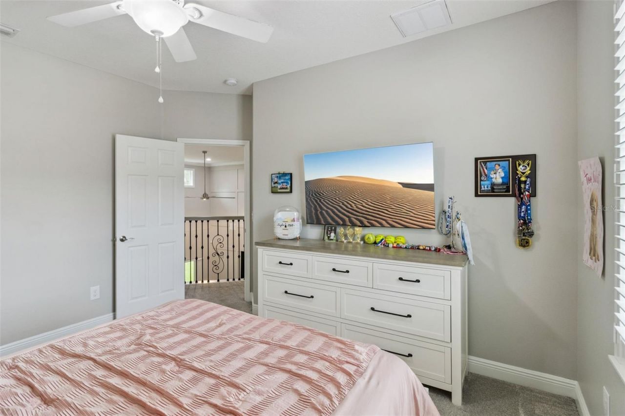 27722 Indigo Pond Court, Wesley Chapel, FL 33544 Photo