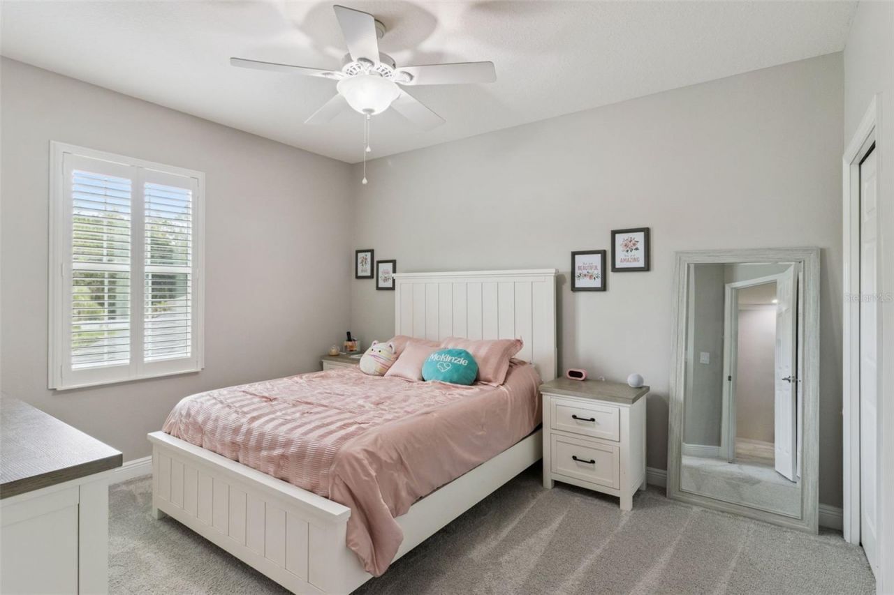 27722 Indigo Pond Court, Wesley Chapel, FL 33544 Photo