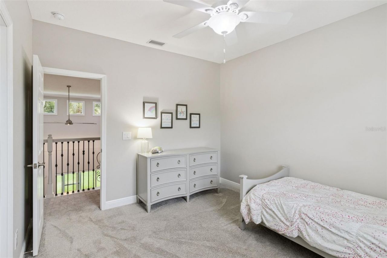 27722 Indigo Pond Court, Wesley Chapel, FL 33544 Photo