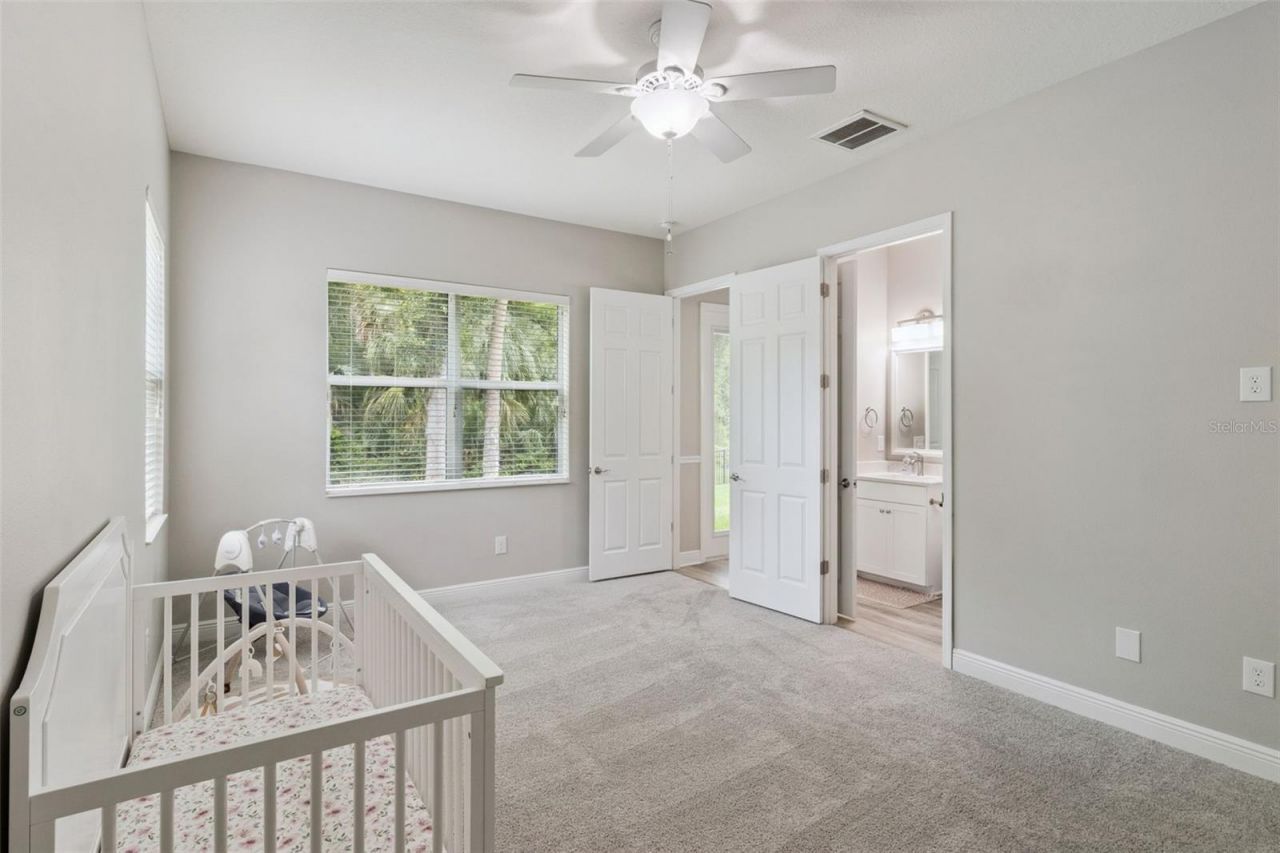 27722 Indigo Pond Court, Wesley Chapel, FL 33544 Photo