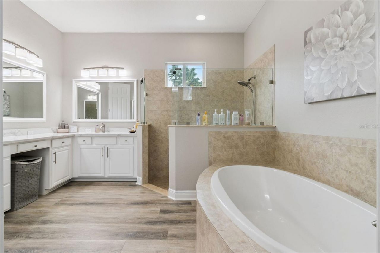 27722 Indigo Pond Court, Wesley Chapel, FL 33544 Photo