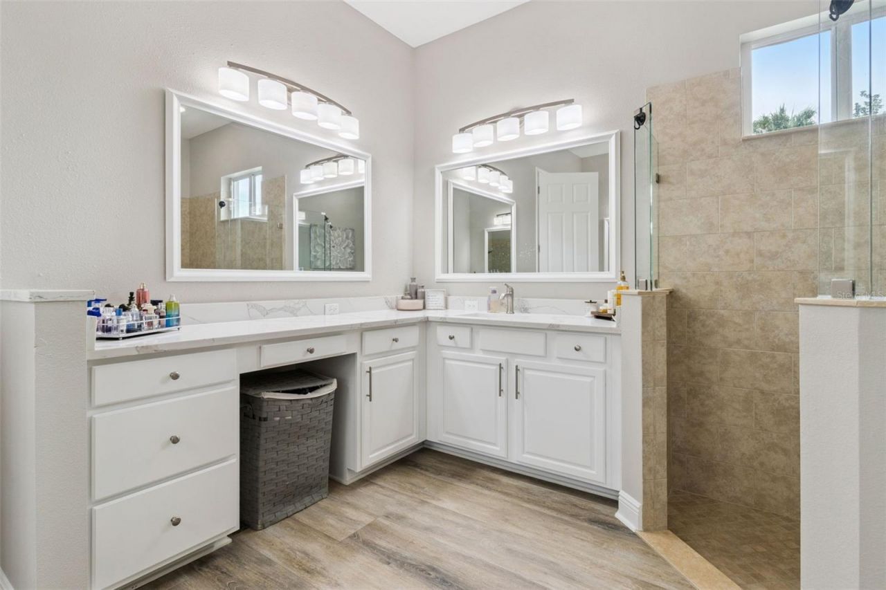 27722 Indigo Pond Court, Wesley Chapel, FL 33544 Photo
