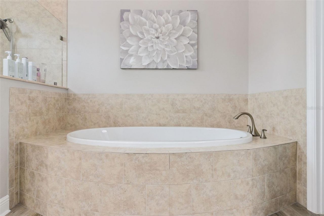 27722 Indigo Pond Court, Wesley Chapel, FL 33544 Photo