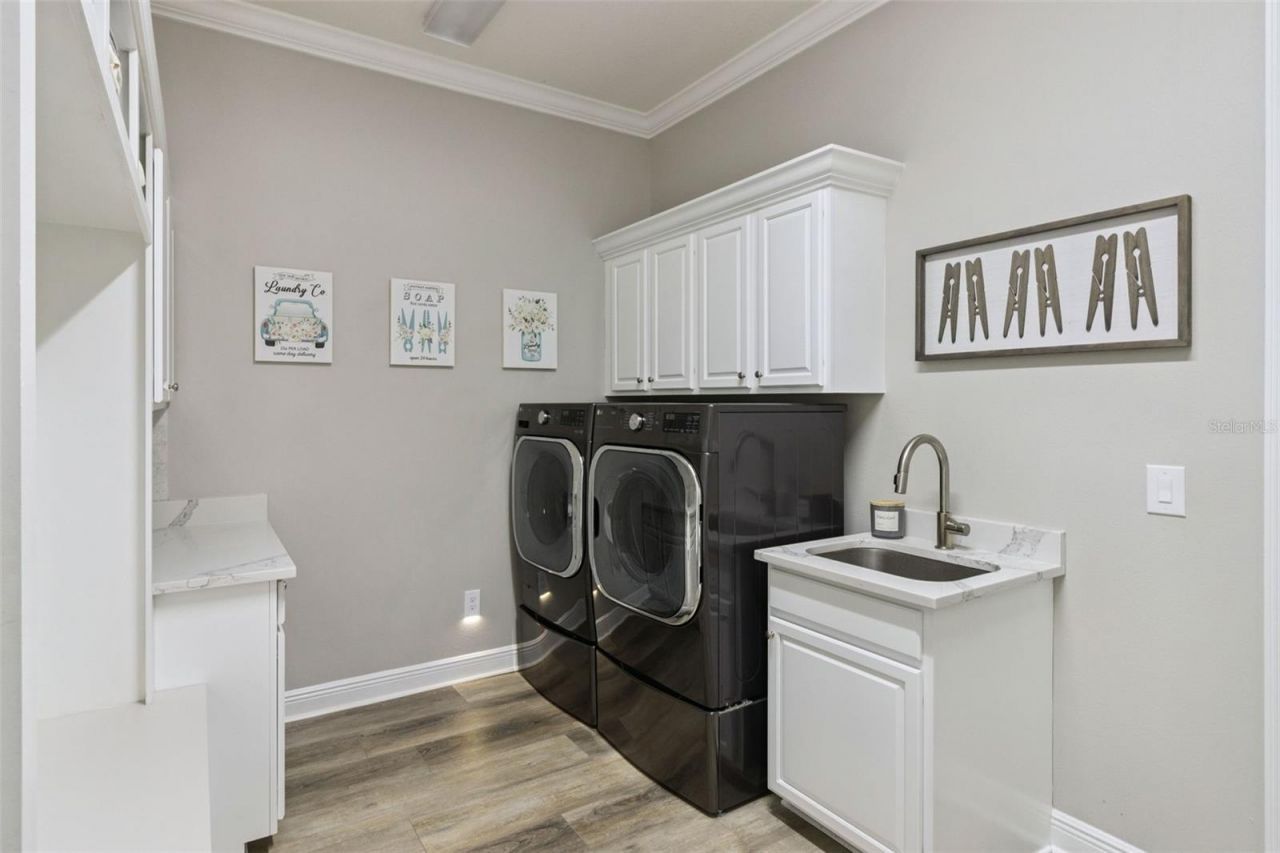 27722 Indigo Pond Court, Wesley Chapel, FL 33544 Photo