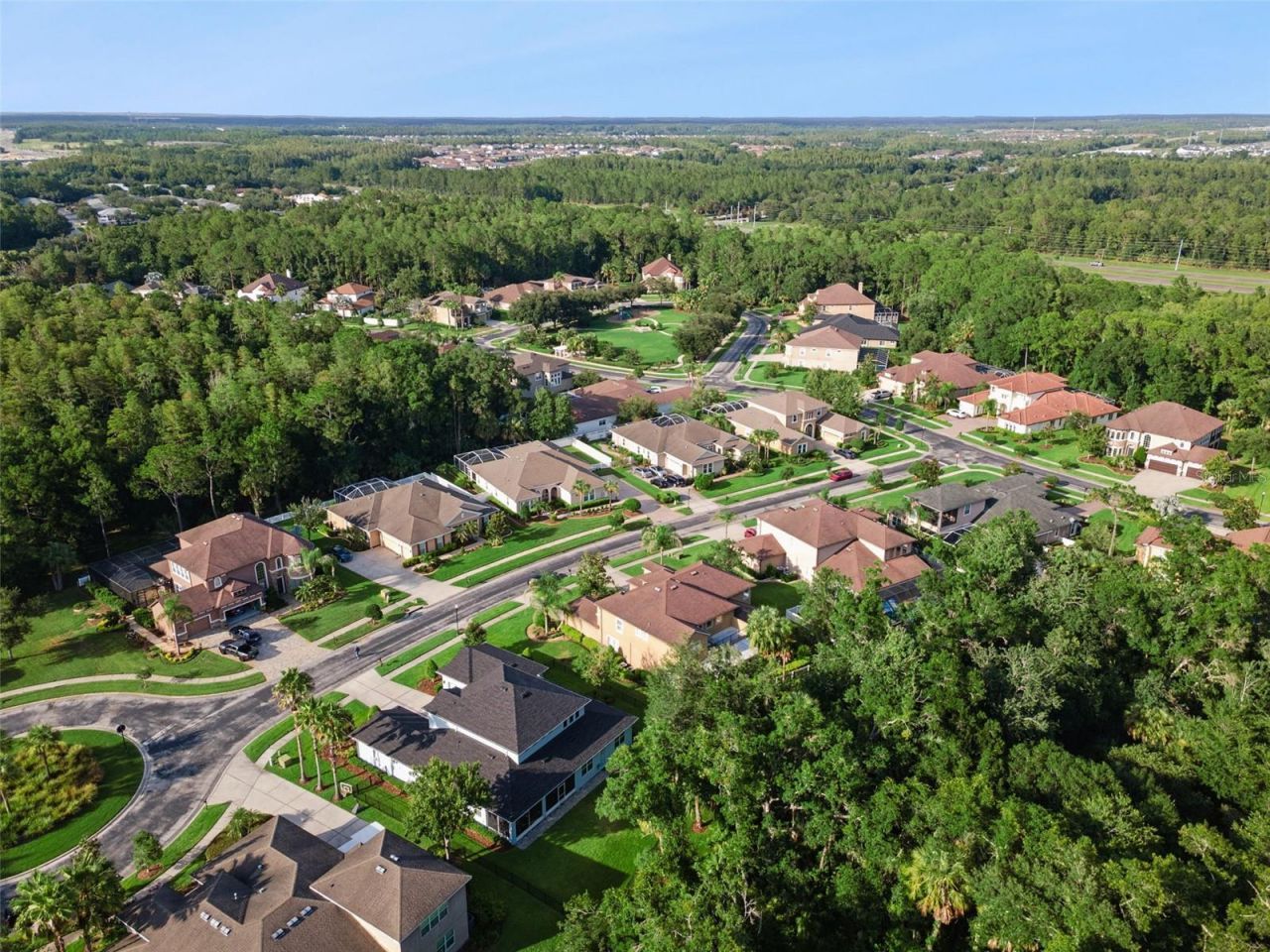 27722 Indigo Pond Court, Wesley Chapel, FL 33544 Photo