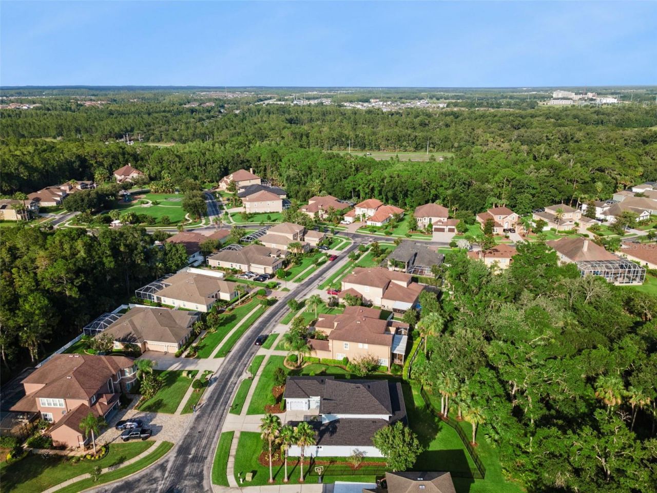27722 Indigo Pond Court, Wesley Chapel, FL 33544 Photo