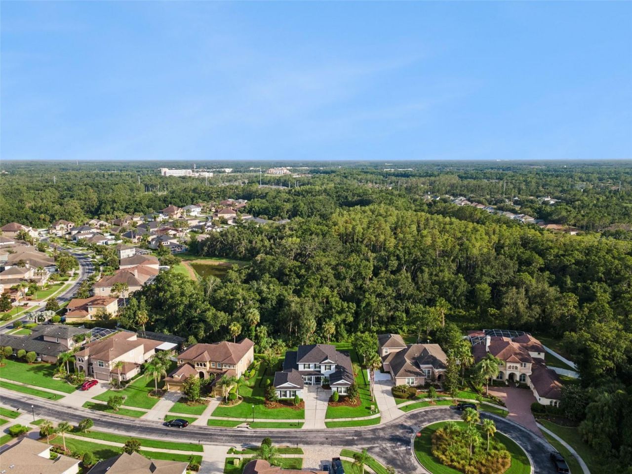 27722 Indigo Pond Court, Wesley Chapel, FL 33544 Photo