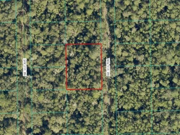 NE 113TH TERRACE , FORT MC COY, FL 32134