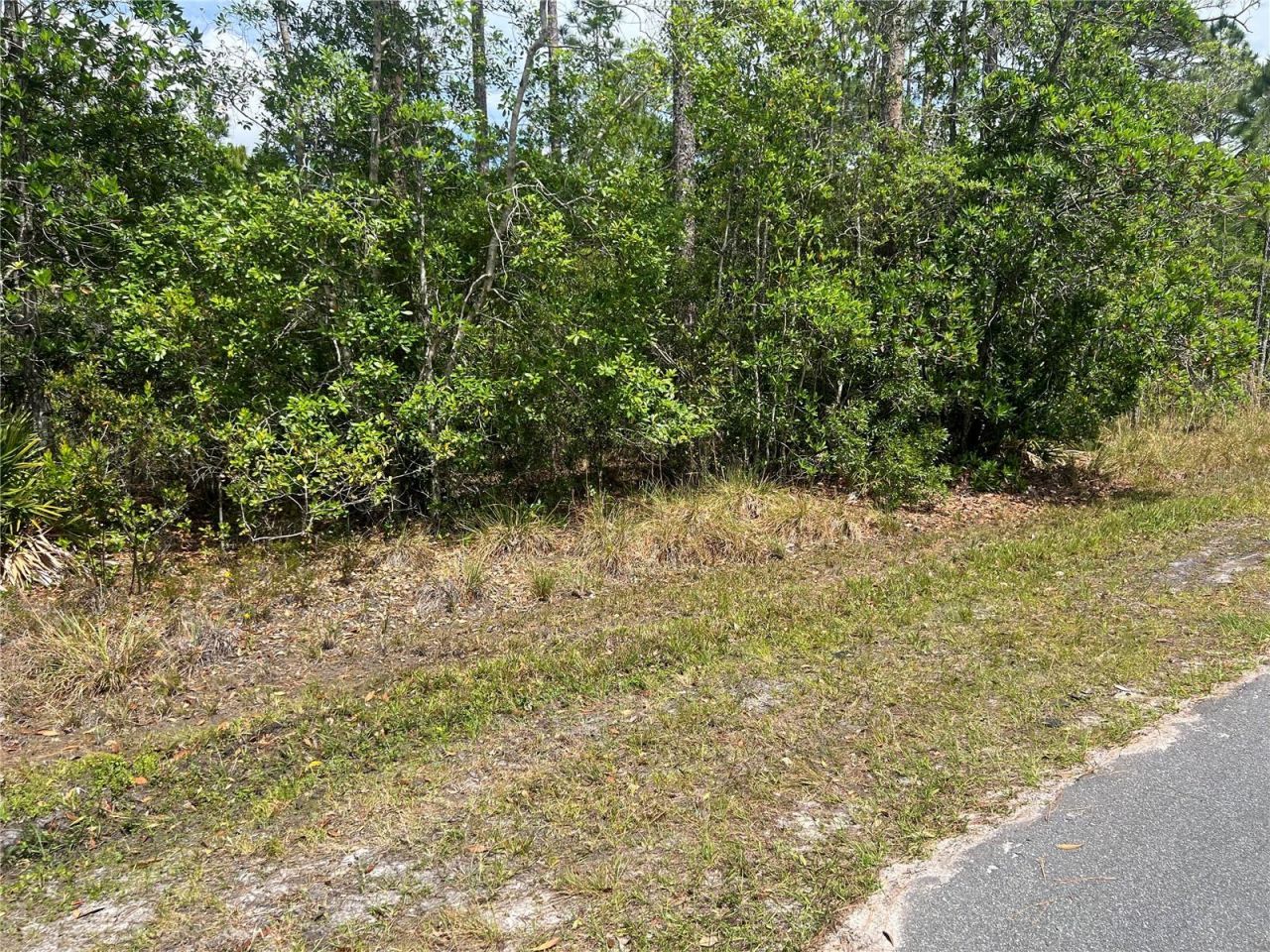 1755 Cassidy Drive, Saint Cloud, FL 34771 Main Photo