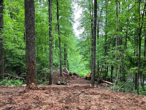 533 Enchanted Forest Drive , Sylva, NC 28779