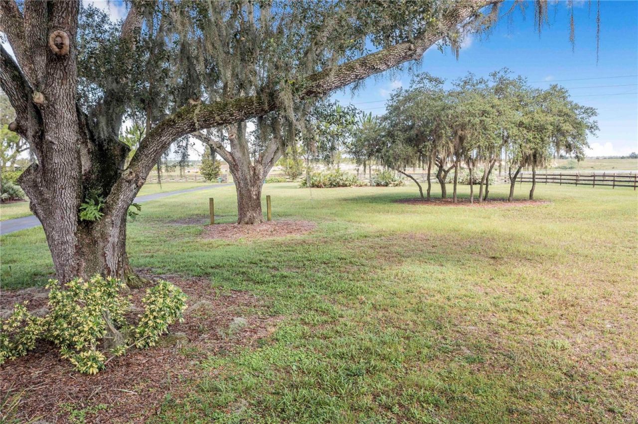 2424 Burns Avenue, Lake Wales, FL 33898 Photo