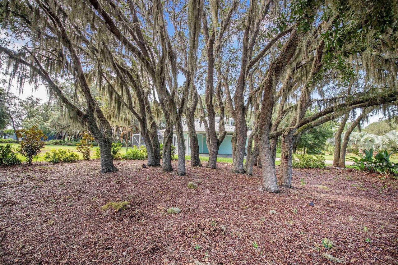2424 Burns Avenue, Lake Wales, FL 33898 Photo