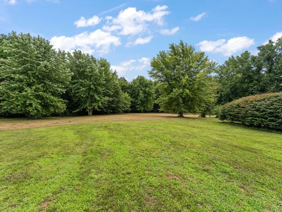 Property Image 58