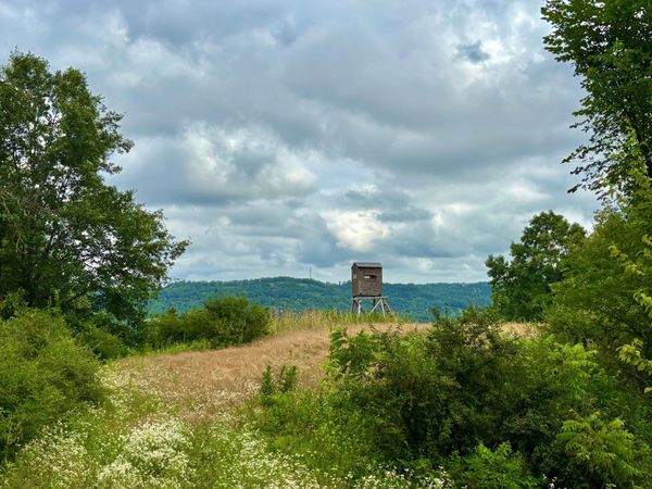 TBD89 County 13 , Houston, MN 55943