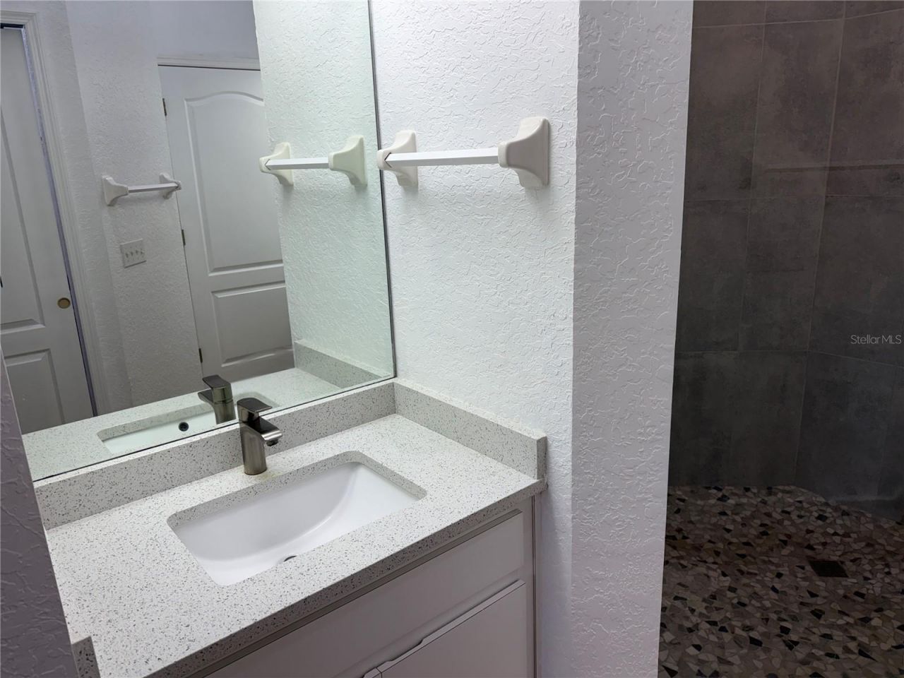 21542 Clubside Loop , Lutz, FL 33549 Photo