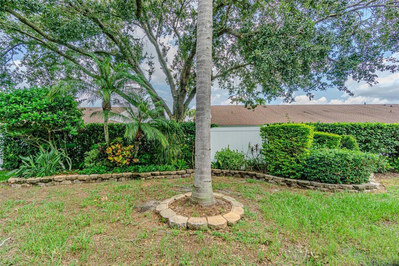 21542 Clubside Loop , Lutz, FL 33549 Photo