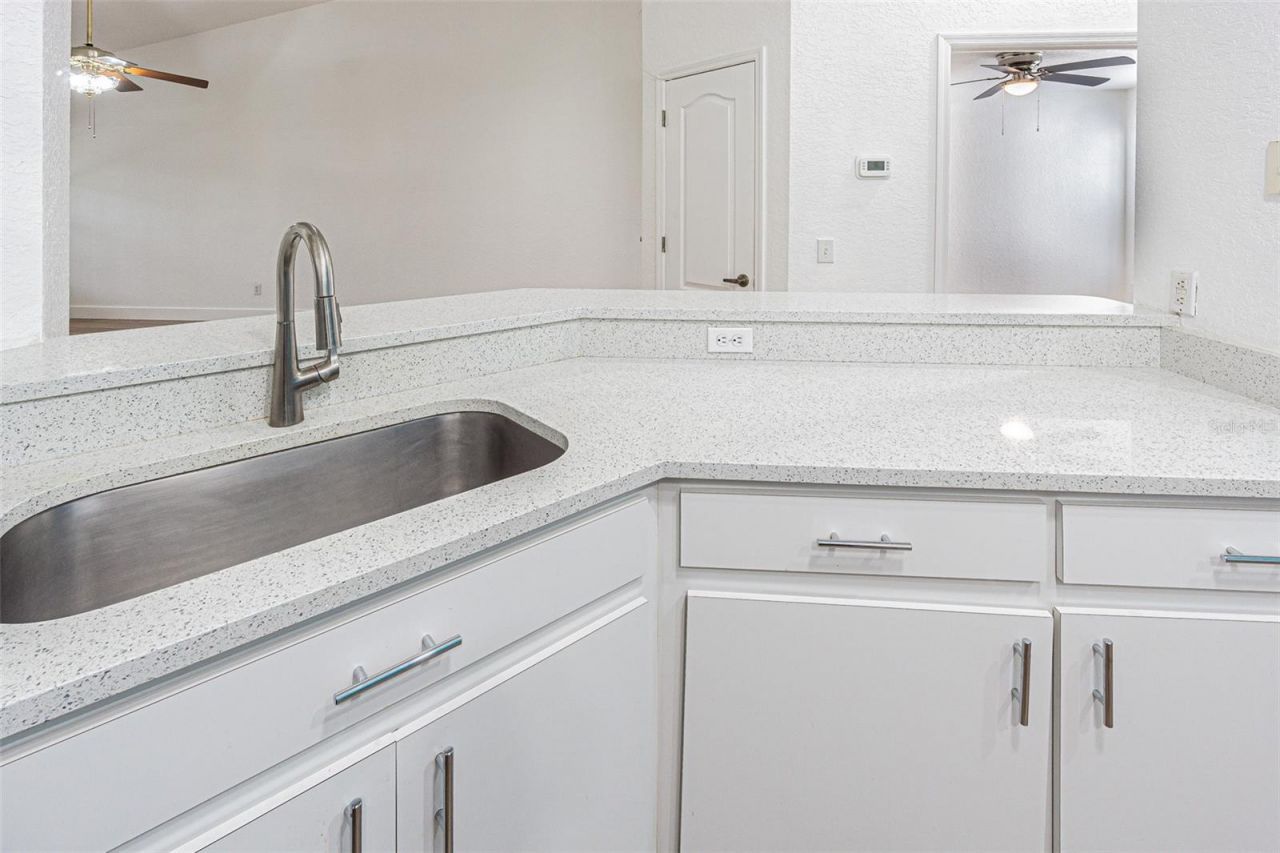 21542 Clubside Loop , Lutz, FL 33549 Photo