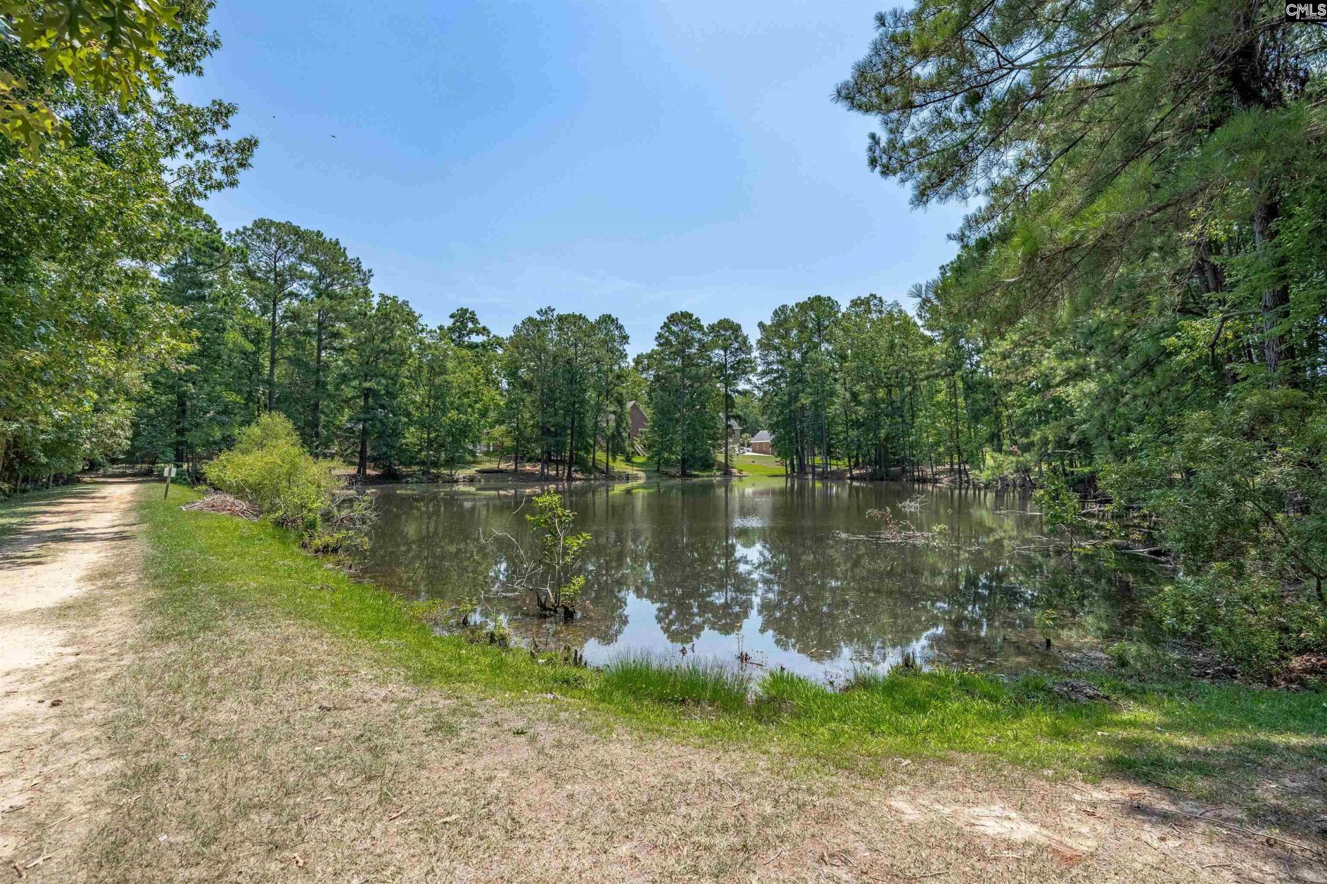238 Hilton View Court Photo 53