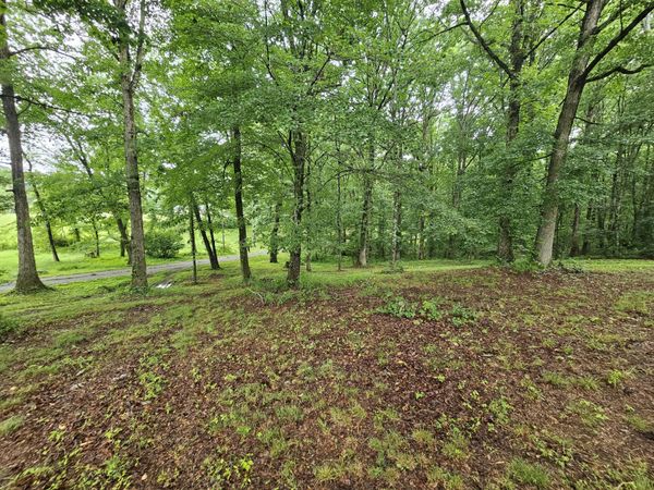 2411 SR 56 , Unit 4, Tracy City, TN 37387