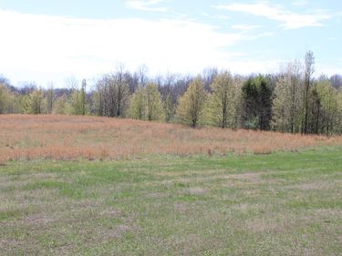 21A1-H-1 Beech Street, Kuttawa, KY 42055