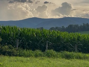 TBD ROUDABUSH LN, CHURCHVILLE, VA 24421