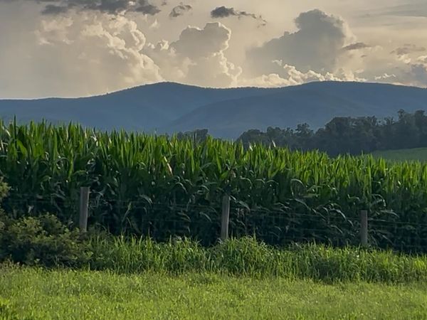 TBD ROUDABUSH LN, CHURCHVILLE, VA 24421