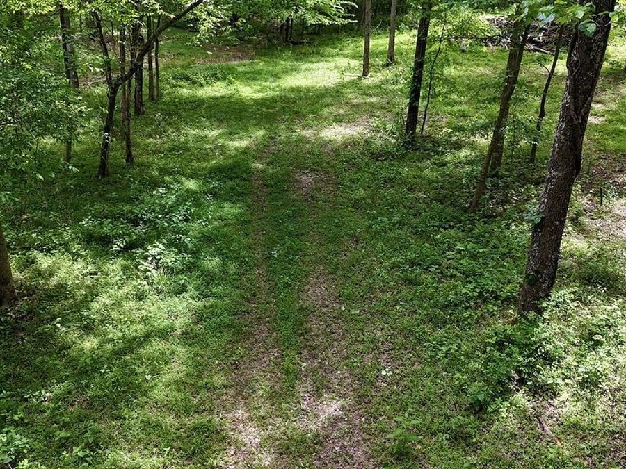 Property Image 38
