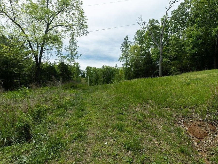 Property Image 41