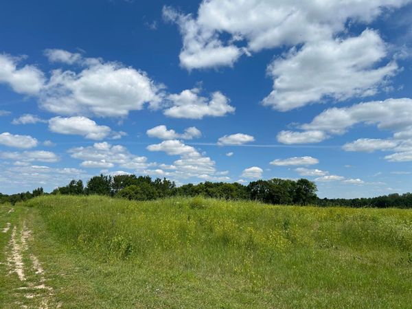 36216 493RD Avenue , New York Mills, MN 56567