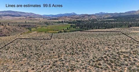 99.6 Acres California 88, Lot #001-080-01, Markleeville, CA 96120 Photo