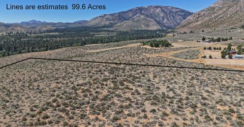99.6 Acres California 88, Lot #001-080-01, Markleeville, CA 96120 Photo