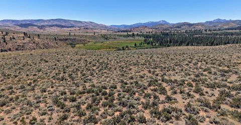 99.6 Acres California 88, Lot #001-080-01, Markleeville, CA 96120 Photo