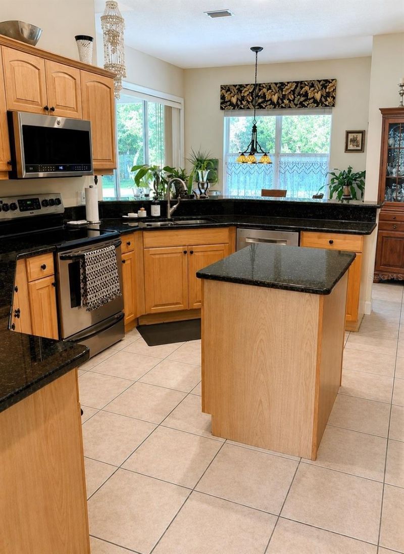 1521 Shadow Pines Drive, New Smyrna Beach, FL 32168 Photo