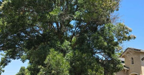 10125 Nebbiolo Ct, Elk Grove, CA 95624 Photo