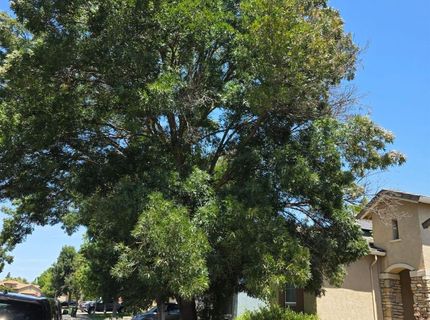 10125 Nebbiolo Ct, Elk Grove, CA 95624 Photo