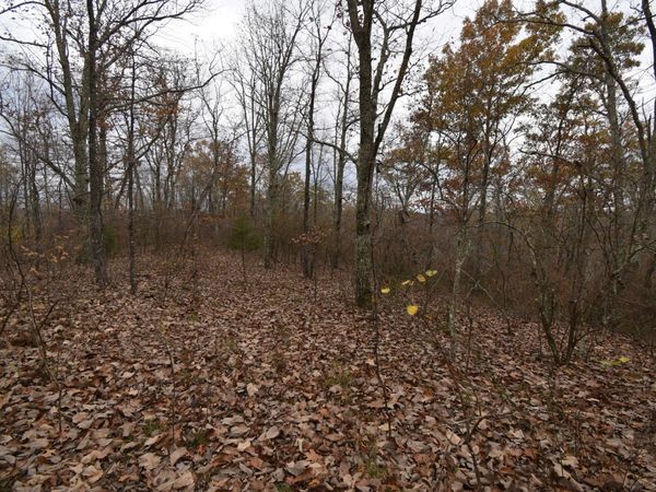 0 Depriest Bend Dr , Lobelville, TN 37097