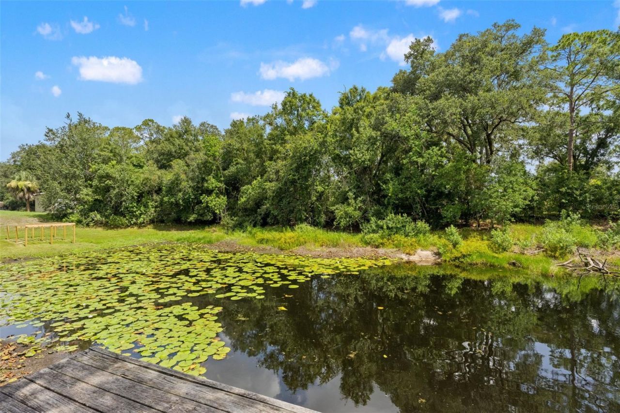 2730 Robertson Trail, Lutz, FL 33559 Photo
