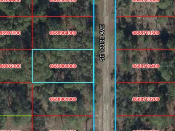 TBD 133RD AVENUE , DUNNELLON, FL 34431