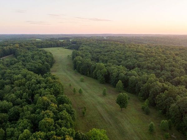 0 Shoals Branch Rd , Primm Springs, TN 38476