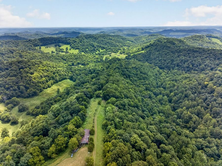 Property Image 18