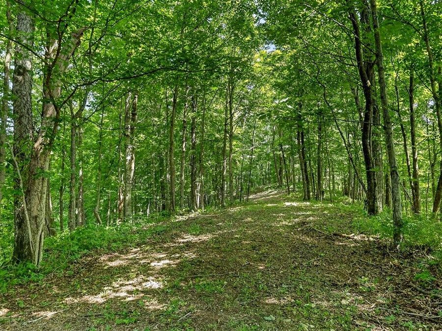 Property Image 35